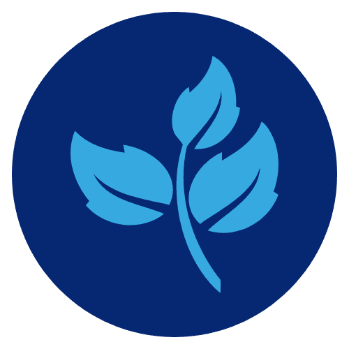 Eco-Conscious & Sustainable